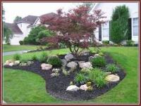 California Landscaping and Lawncare image 1